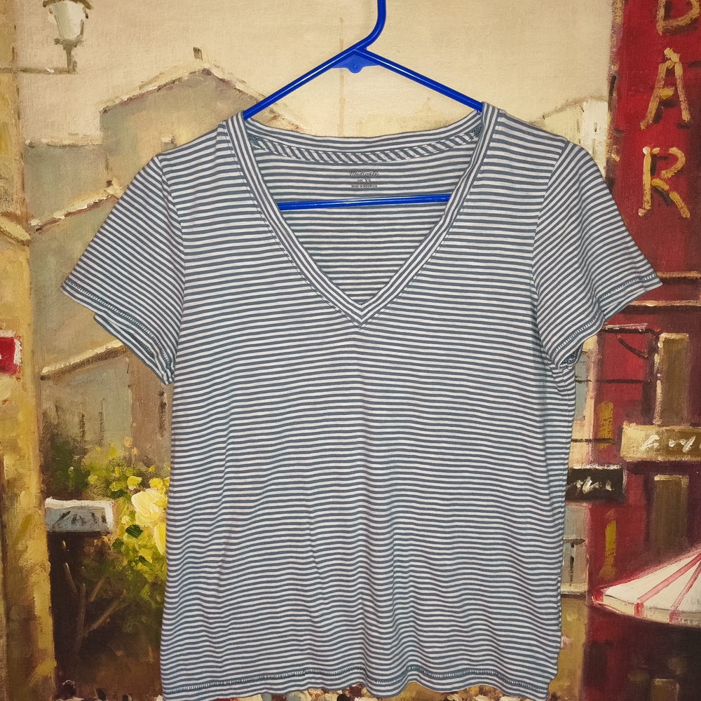 Madewell Blue and White Striped V-Neck Tee